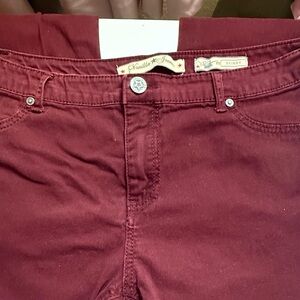 Vanilla Star Rust Red Skinny Jeans